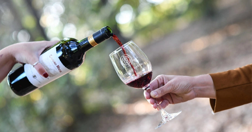 Tour Templo Bahá’í + Viña Cousiño Macul + Feria artesanal