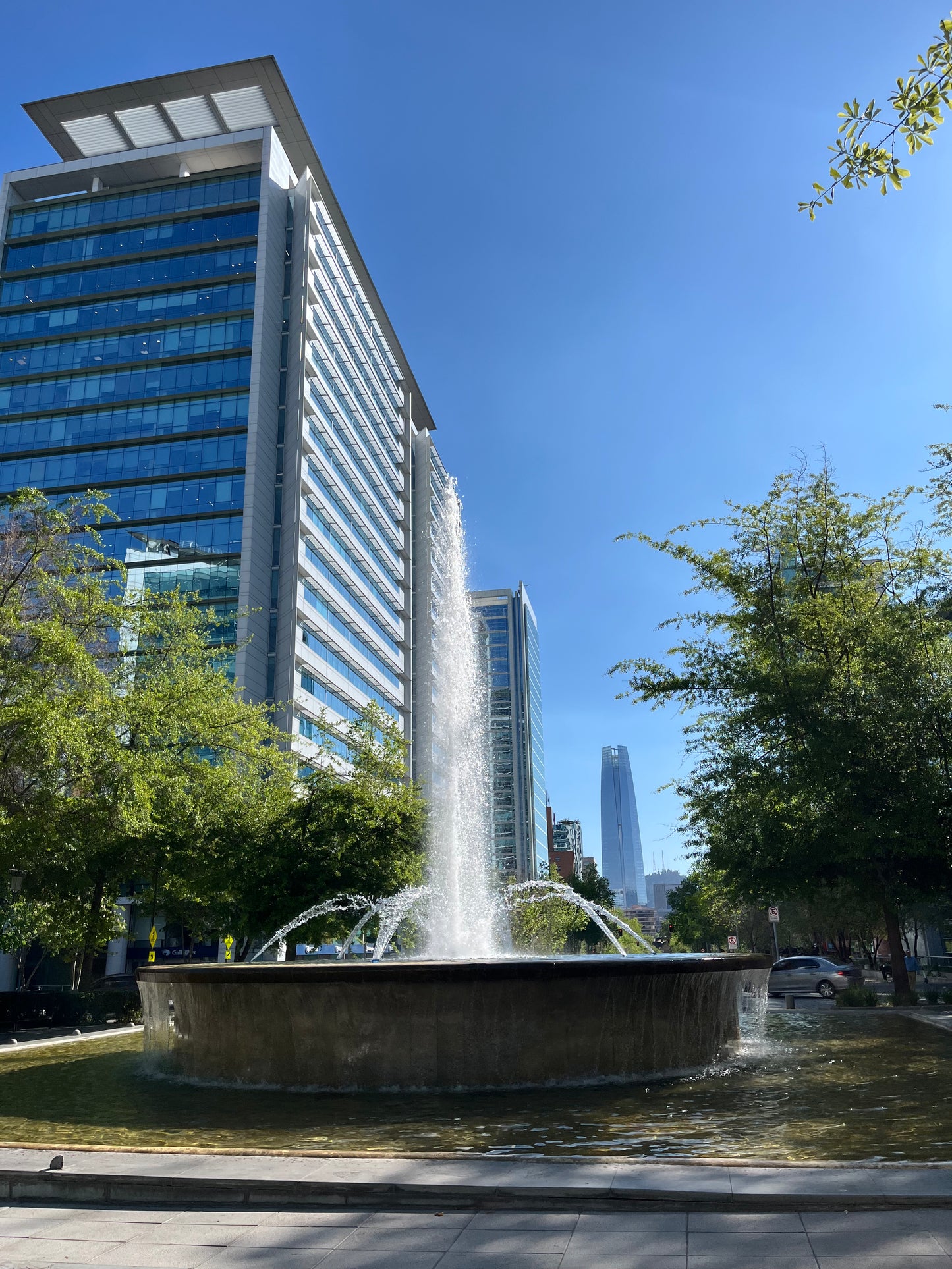 🍷🏙️ Wine & Skyline: El Tour del Centro Financiero