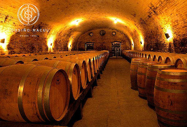 Tour Templo Bahá’í + Viña Cousiño Macul + Feria artesanal